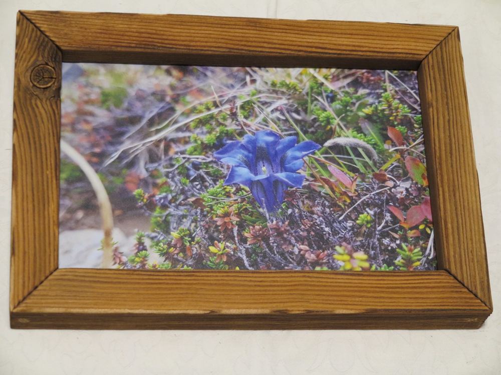 Altholz-Fensterbild Tessin